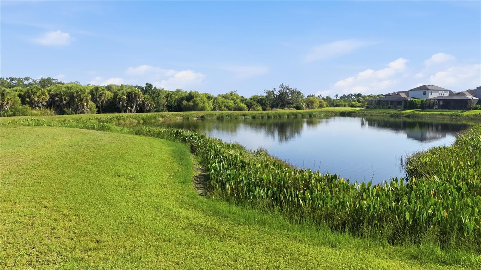 Water View - 5542 NATIVE HENNA CT, SARASOTA
