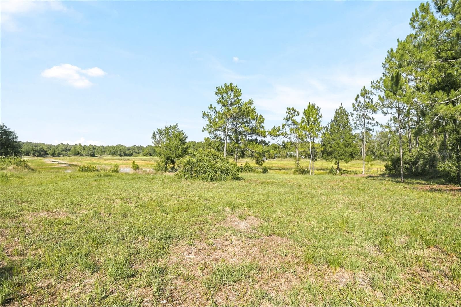 Land at 100 BERRYHILL DR, WEBSTER, photo 6 of 33