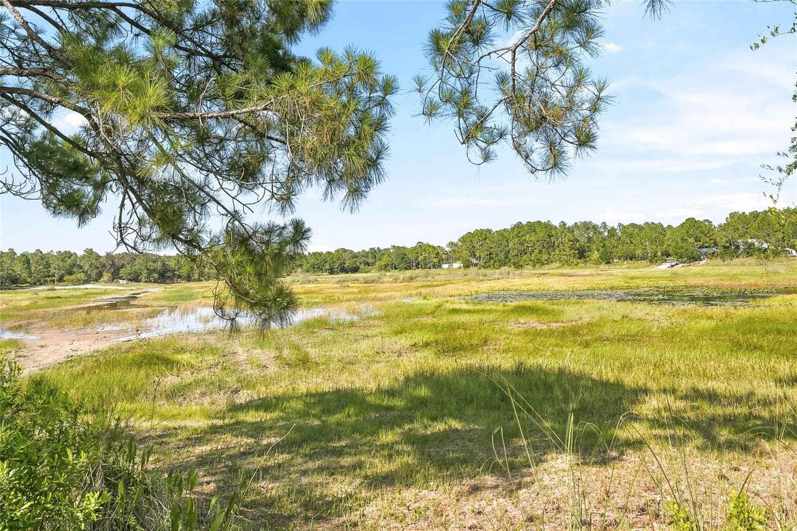 Land at 100 BERRYHILL DR, WEBSTER, photo 7 of 33
