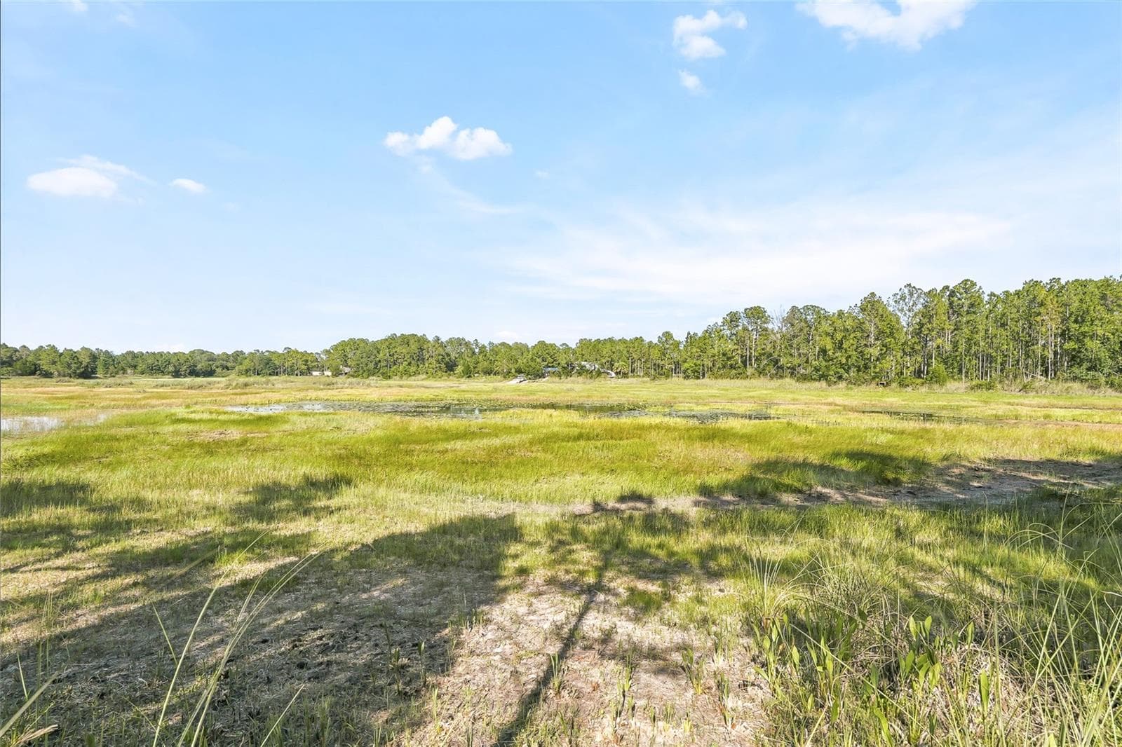 Land at 100 BERRYHILL DR, WEBSTER, photo 9 of 33