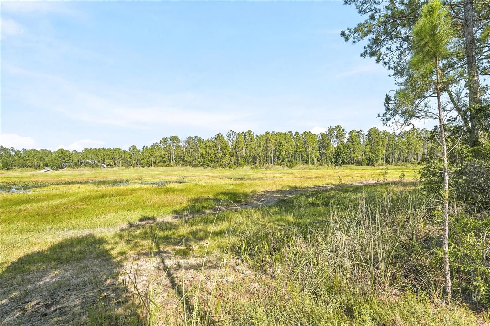 Land at 100 BERRYHILL DR, WEBSTER, photo 10 of 33
