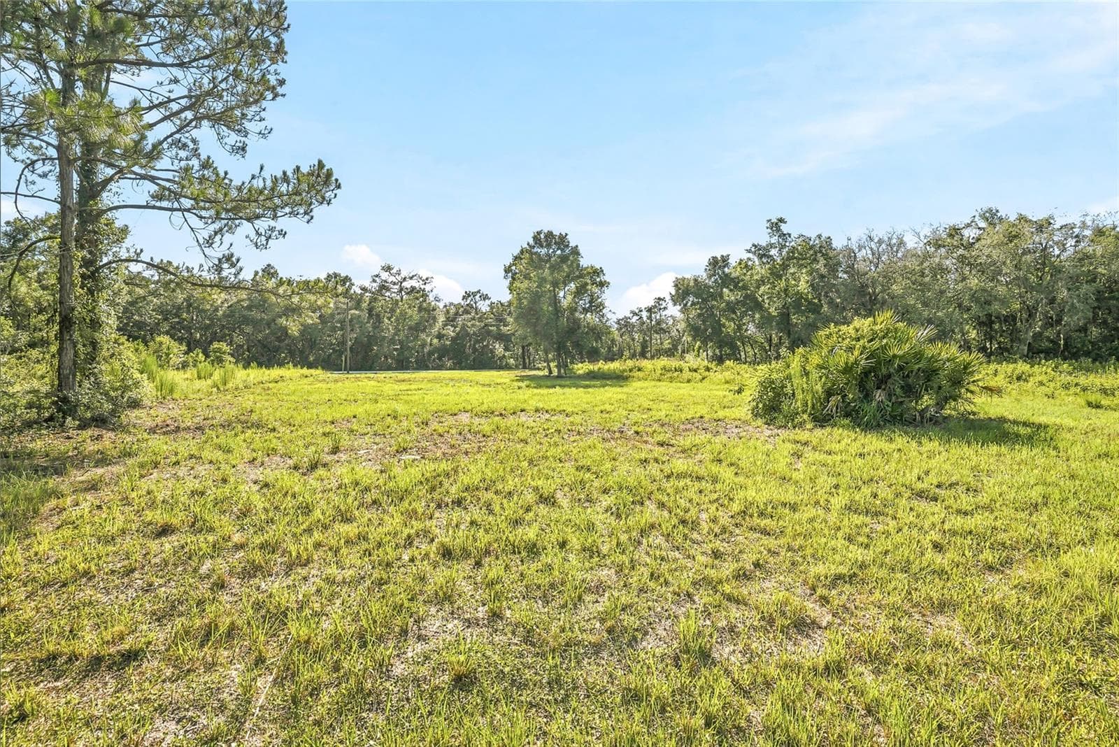 Land at 100 BERRYHILL DR, WEBSTER, photo 11 of 33