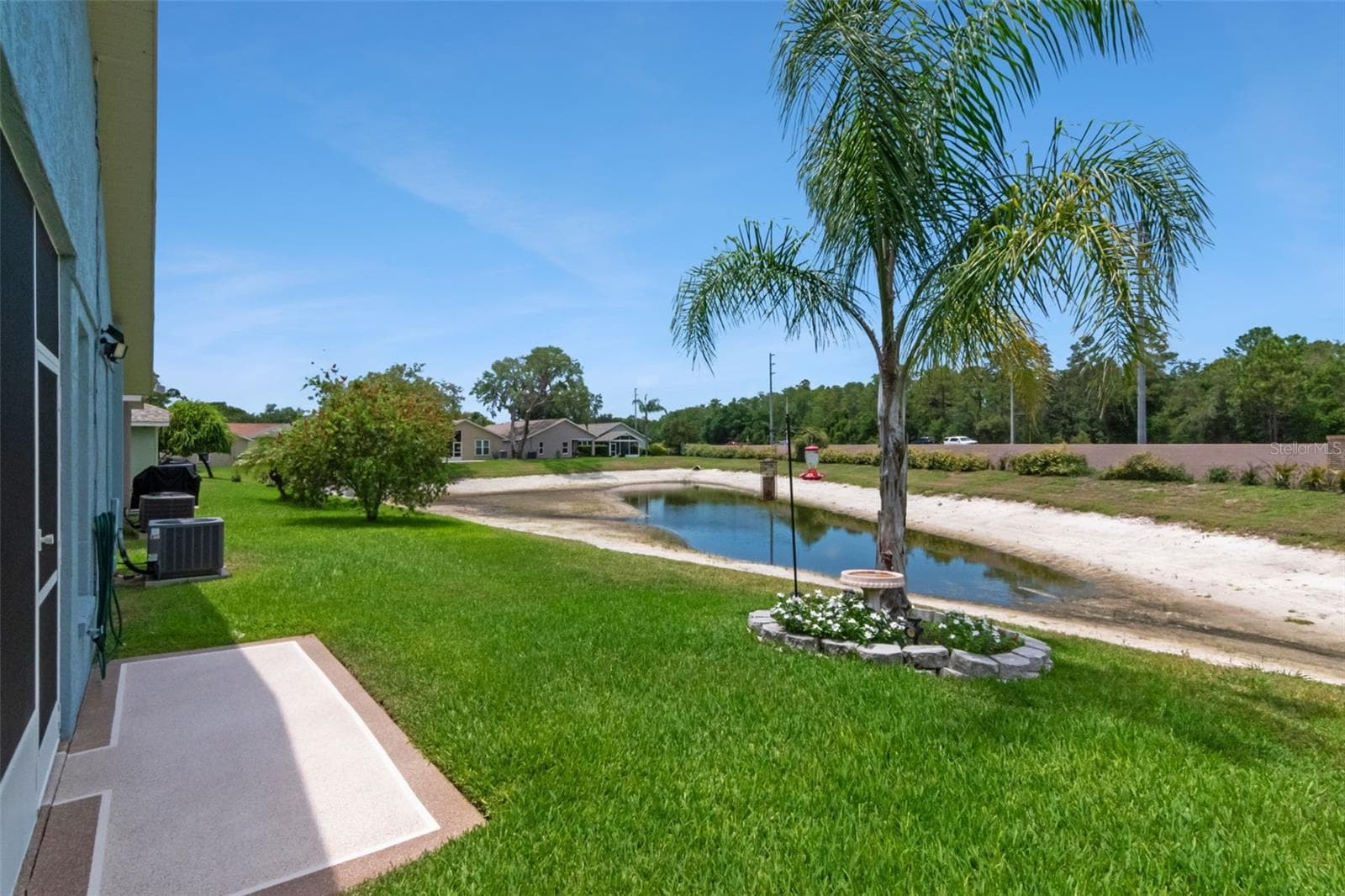Backyard - 10029 BROOKDALE DR, NEW PORT RICHEY