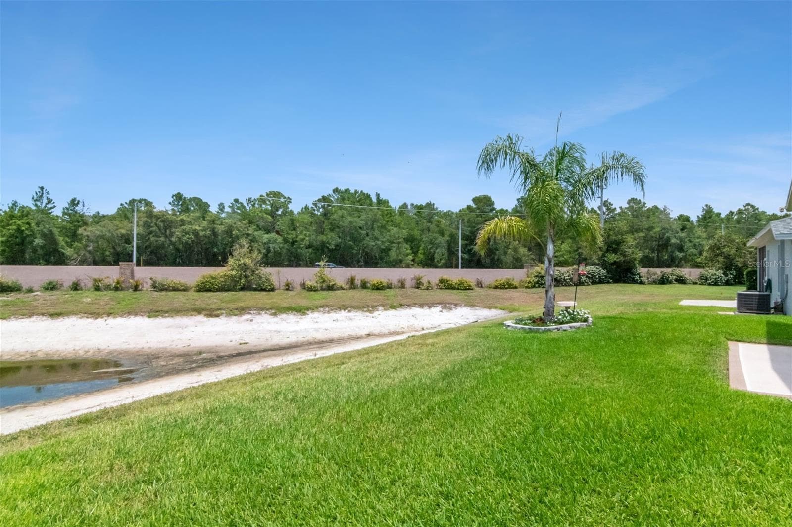 Backyard - 10029 BROOKDALE DR, NEW PORT RICHEY