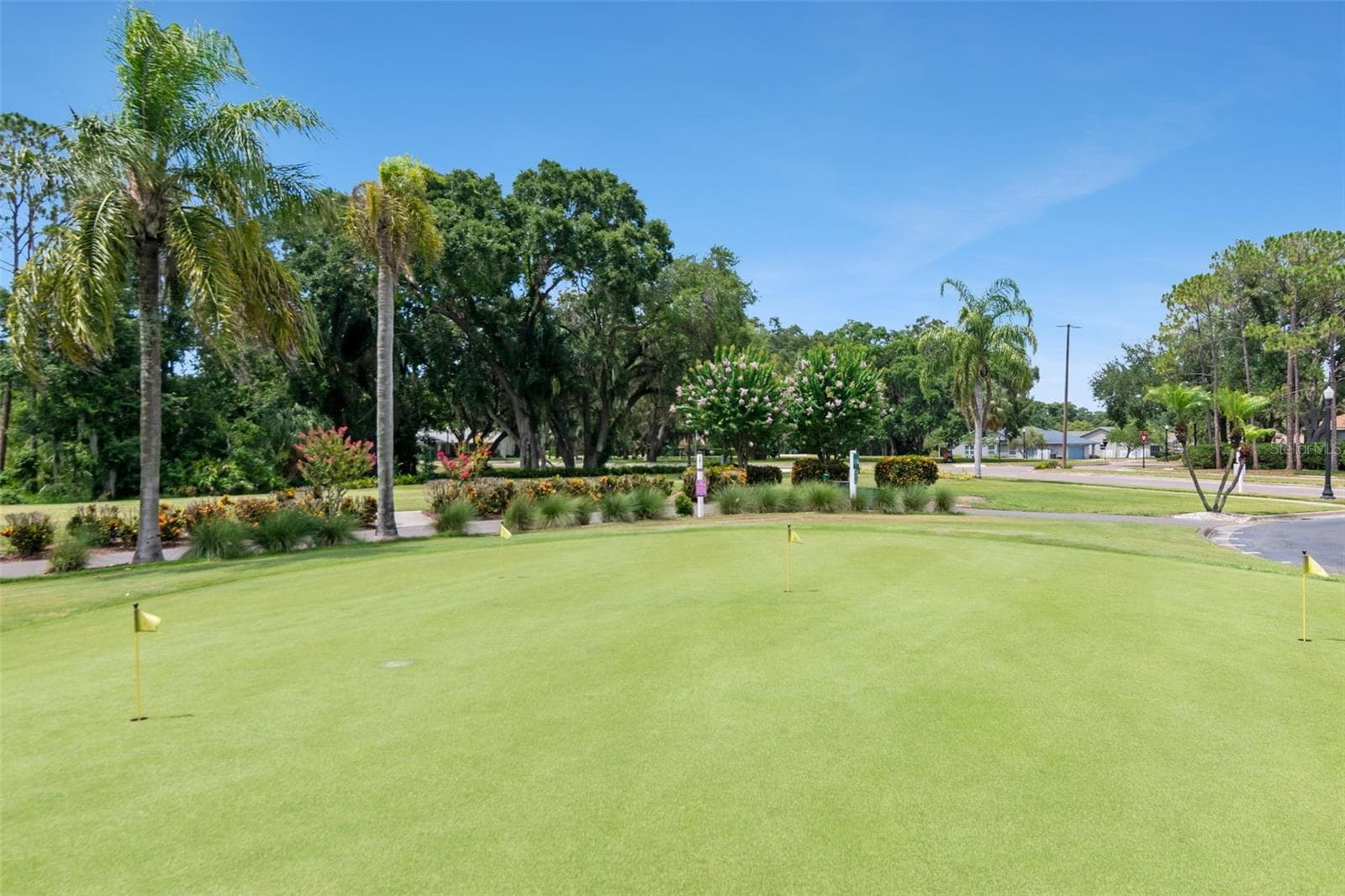 Putting Green - 10029 BROOKDALE DR, NEW PORT RICHEY