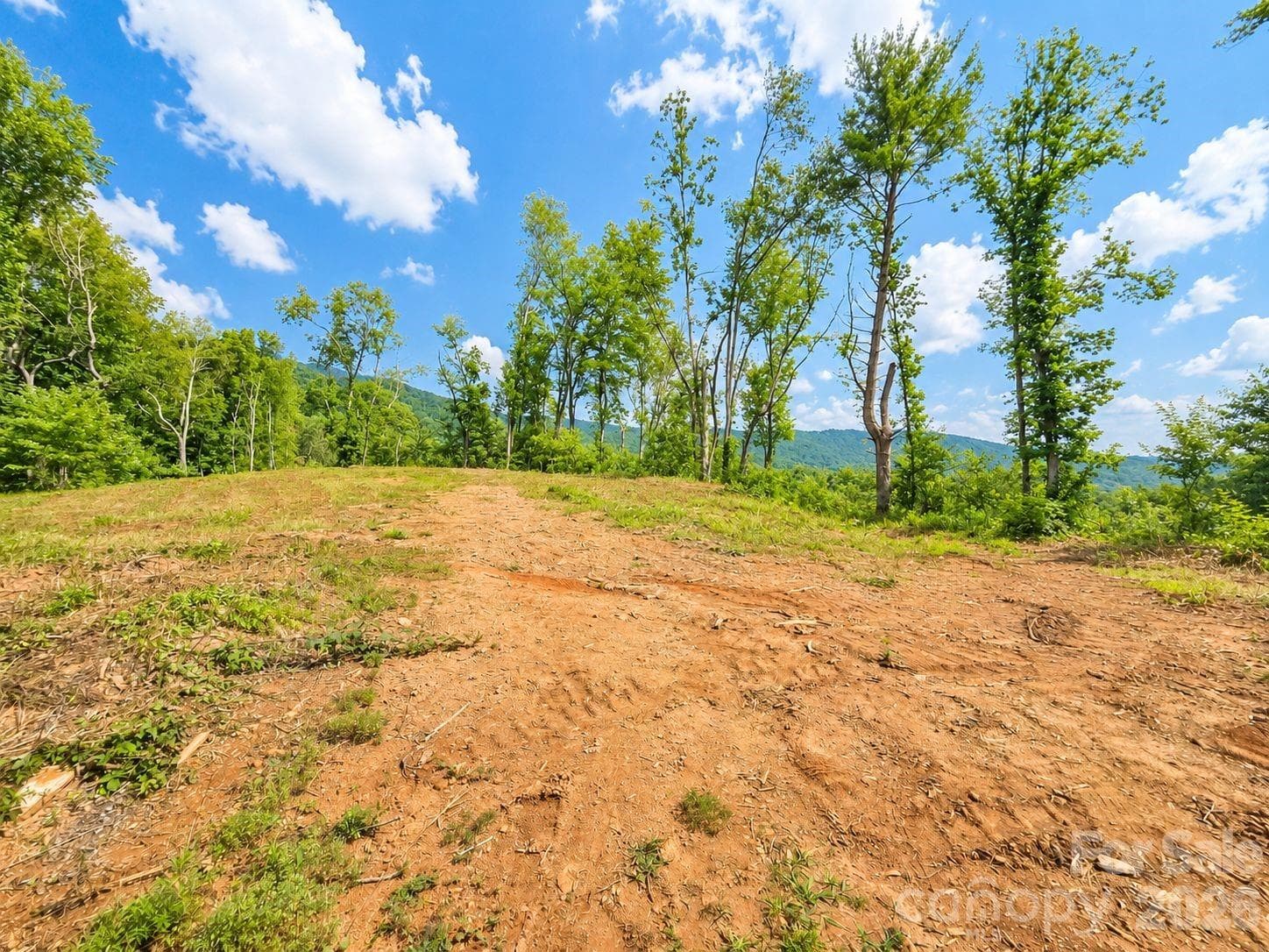 Lot at Waynesville, photo 4 of 18
