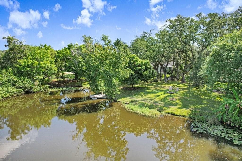 Drone view of spring fed lake, floating dock and backyard. - 1976 DUNLOE CIR, DUNEDIN