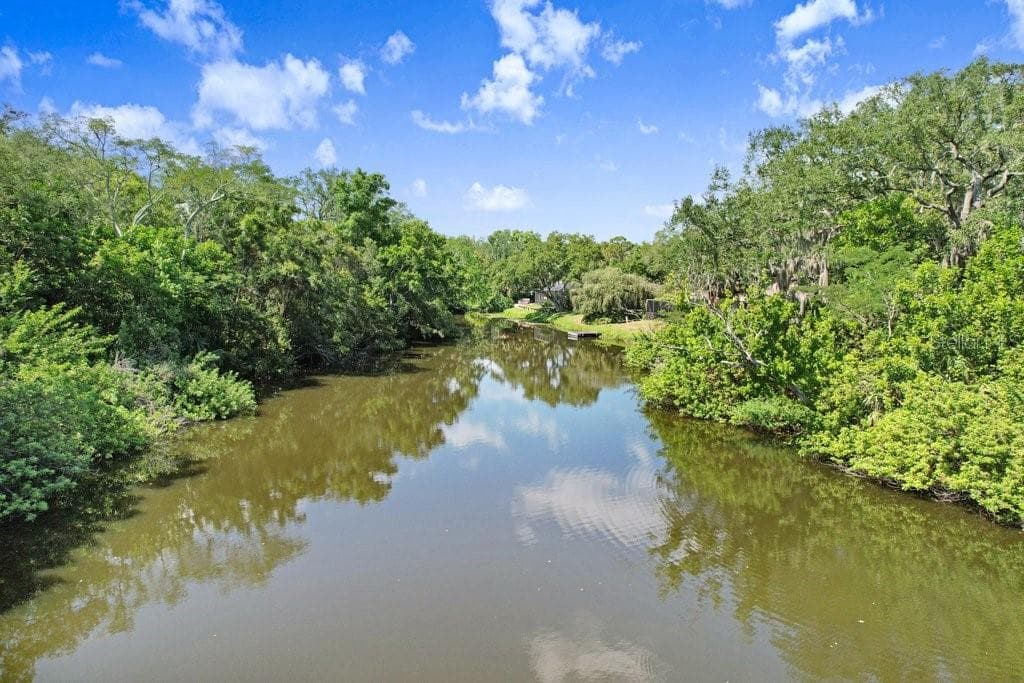 Drone view of lake - 1976 DUNLOE CIR, DUNEDIN