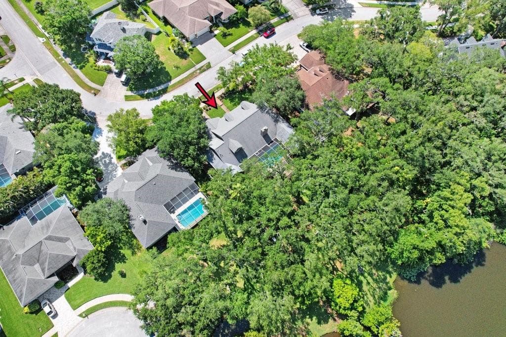 Drone view - 1976 DUNLOE CIR, DUNEDIN