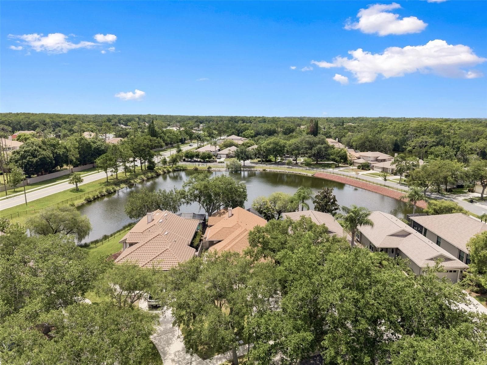 Single Family Residence at 1469 RIVERDALE DR, OLDSMAR, photo 58 of 60