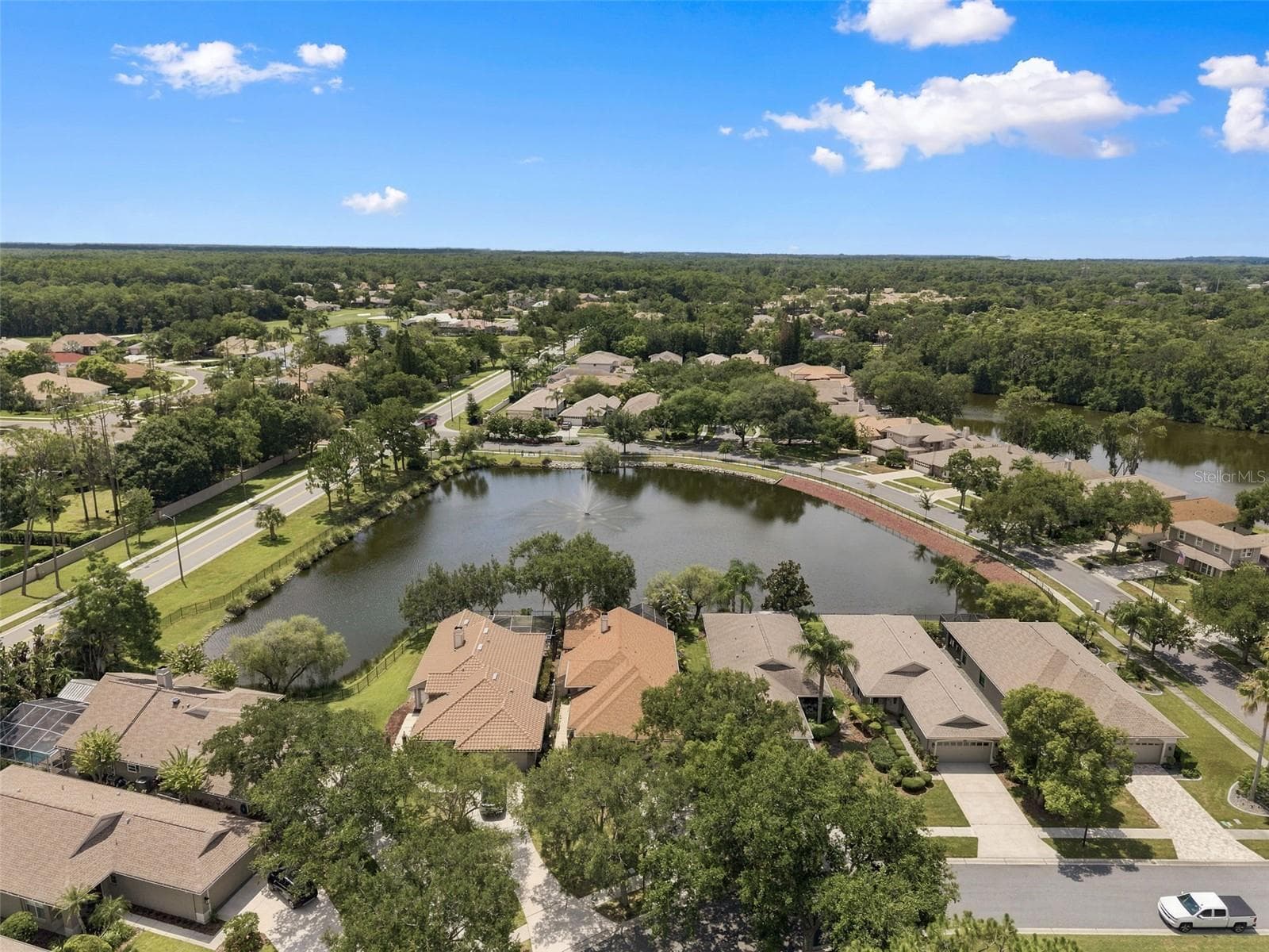 Single Family Residence at 1469 RIVERDALE DR, OLDSMAR, photo 55 of 60