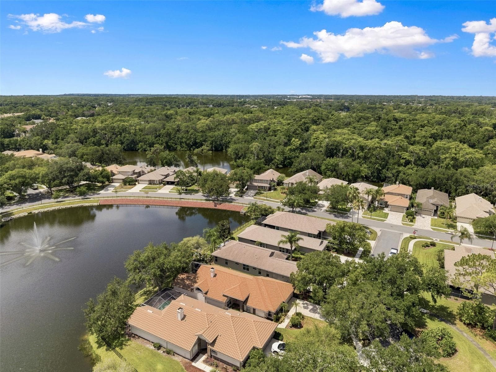 Single Family Residence at 1469 RIVERDALE DR, OLDSMAR, photo 56 of 60