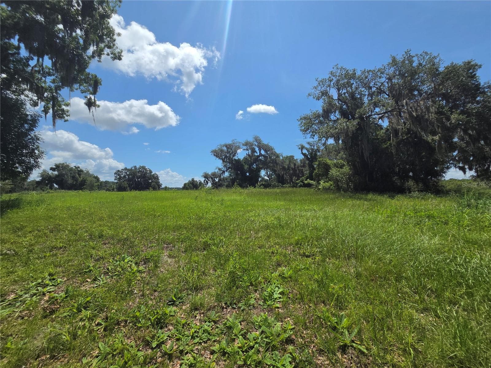 466 LONG AND WINDING RD