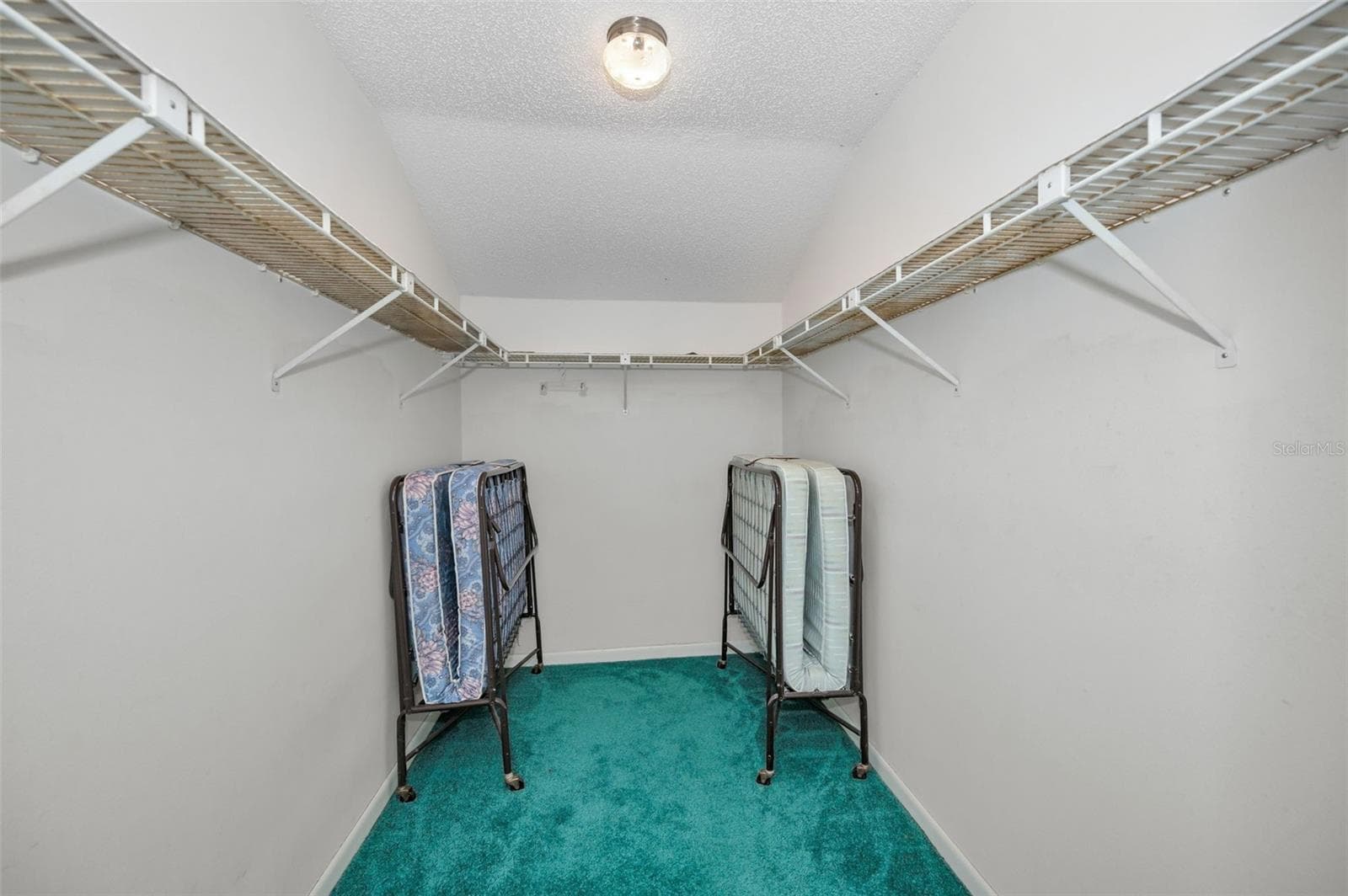 Primary Walk-In Closet - 1333 SHADY PINE WAY #F, TARPON SPRINGS