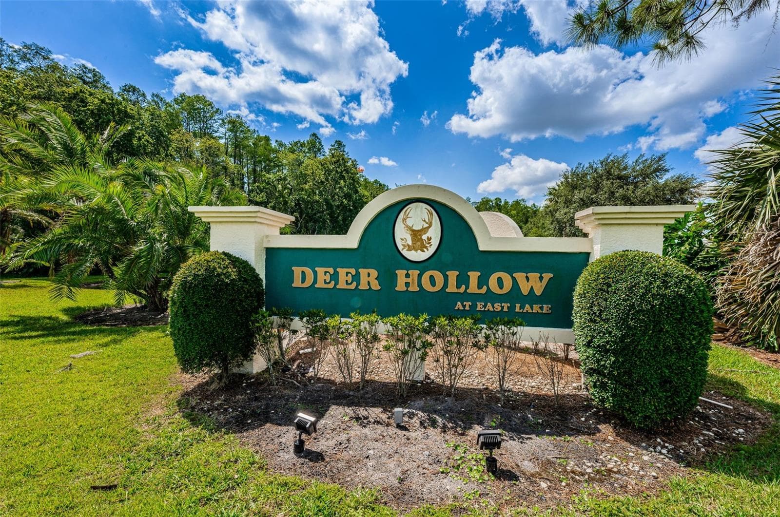 Deer Hollow At East Lake - 1333 SHADY PINE WAY #F, TARPON SPRINGS