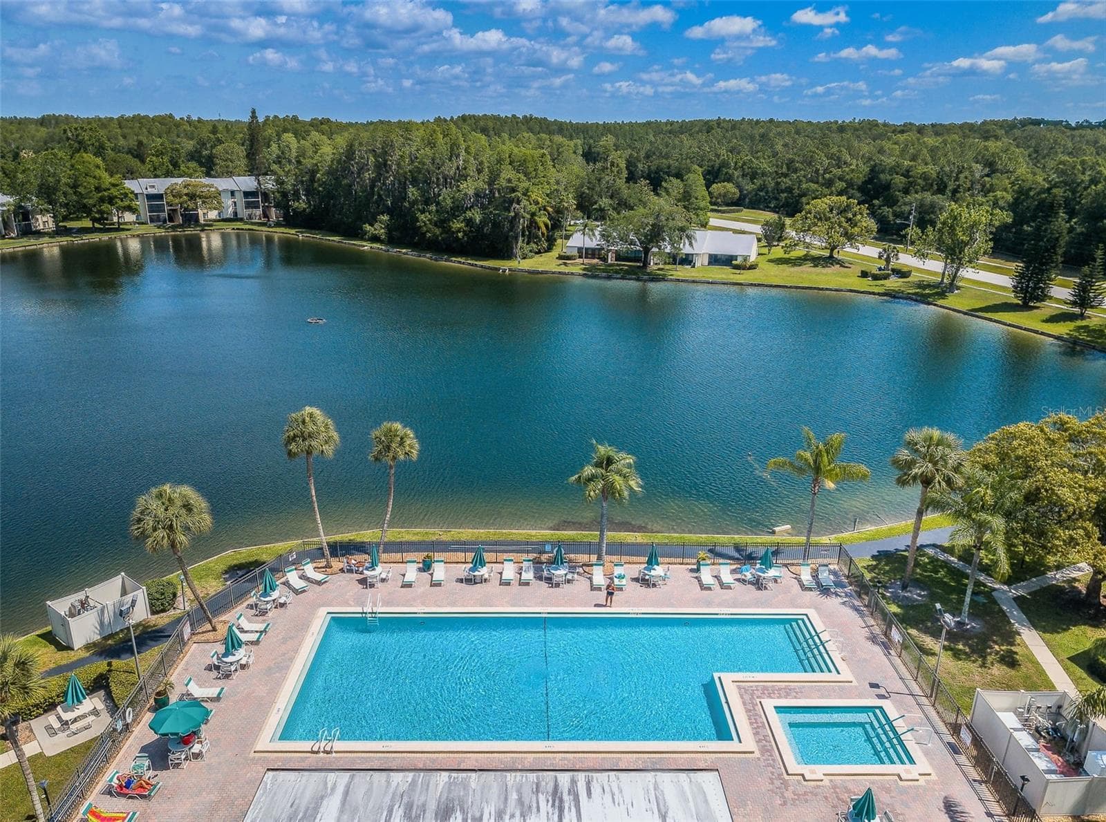 Community Pool & Spa - 1333 SHADY PINE WAY #F, TARPON SPRINGS
