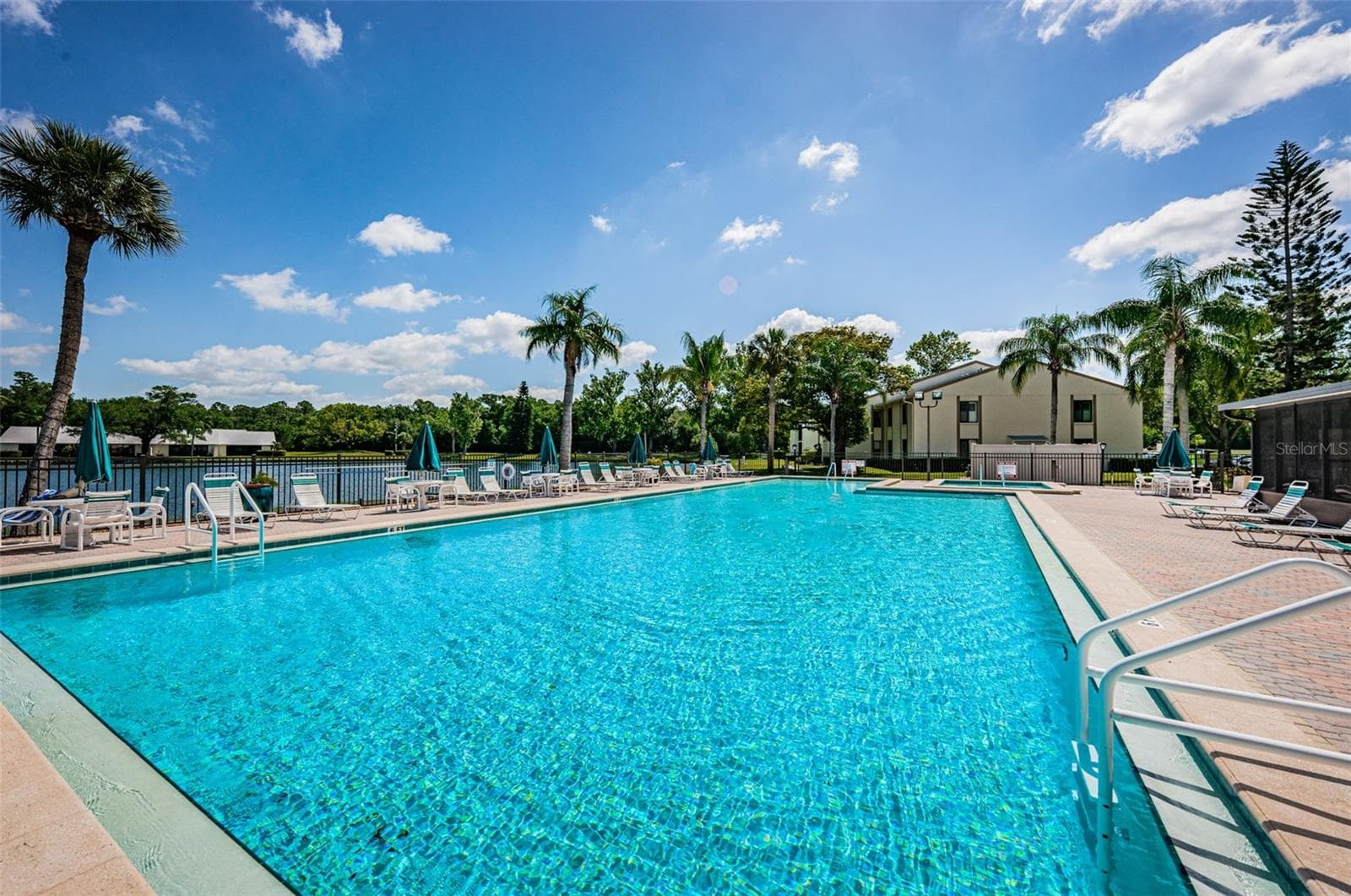 Community Pool & Spa - 1333 SHADY PINE WAY #F, TARPON SPRINGS