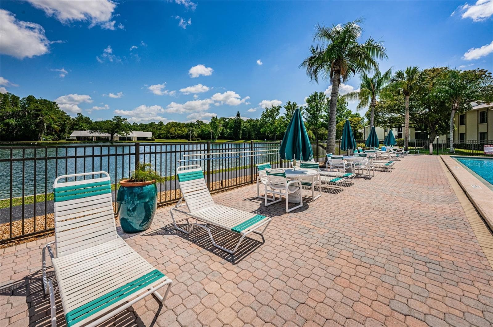 Plenty of Seating - 1333 SHADY PINE WAY #F, TARPON SPRINGS