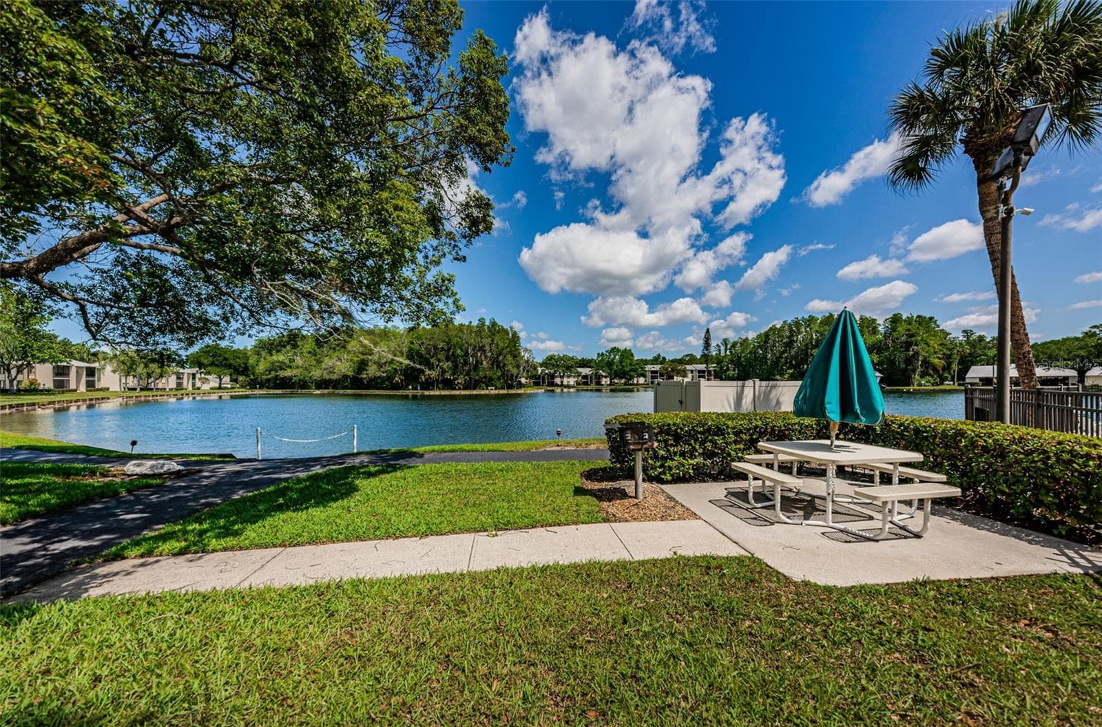 Grill Area - 1333 SHADY PINE WAY #F, TARPON SPRINGS