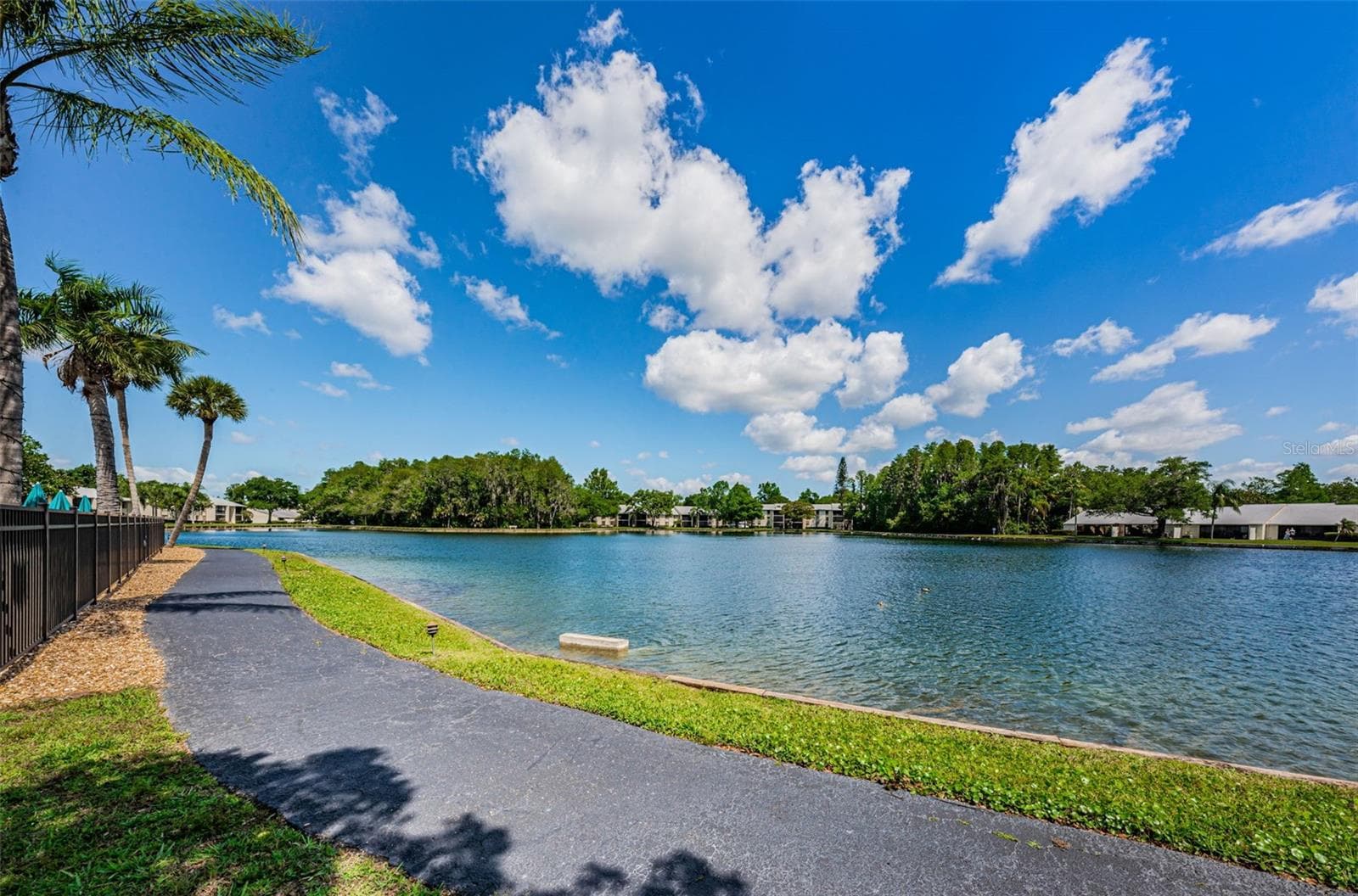 Walking Path - 1333 SHADY PINE WAY #F, TARPON SPRINGS