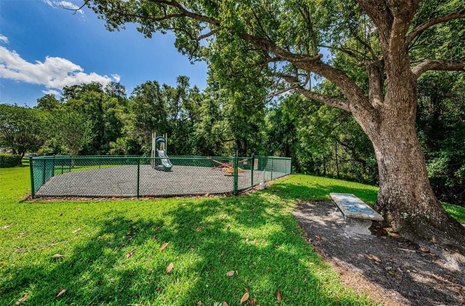 Playground - 1333 SHADY PINE WAY #F, TARPON SPRINGS