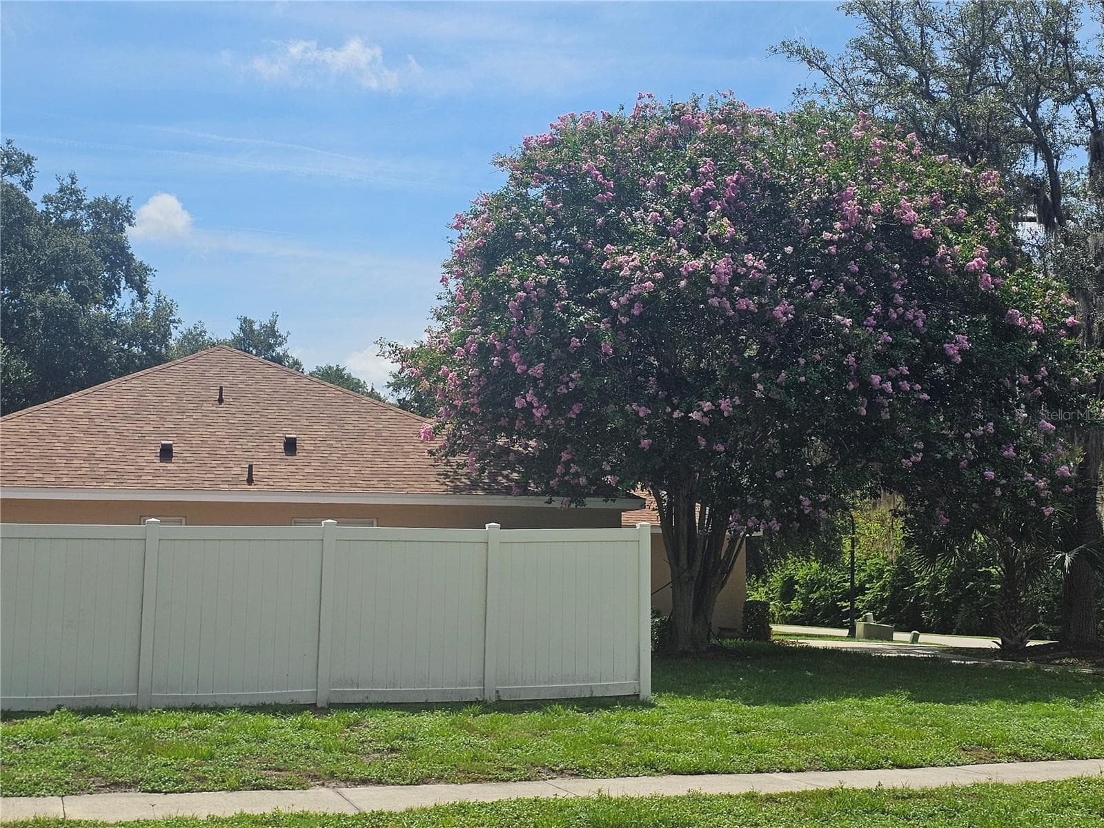 Beautiful trees - 34224 SHADEWOOD CIR, LEESBURG
