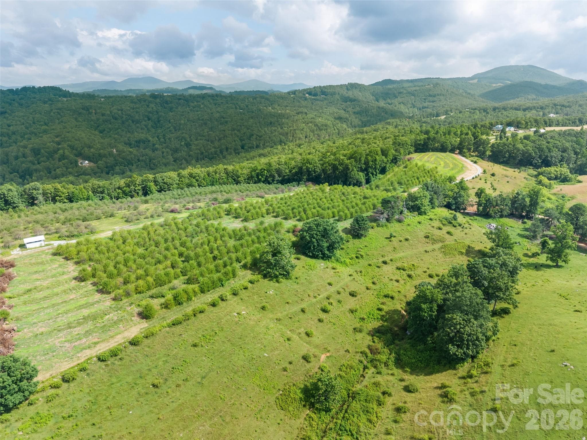 Acreage at Hendersonville, photo 2 of 16