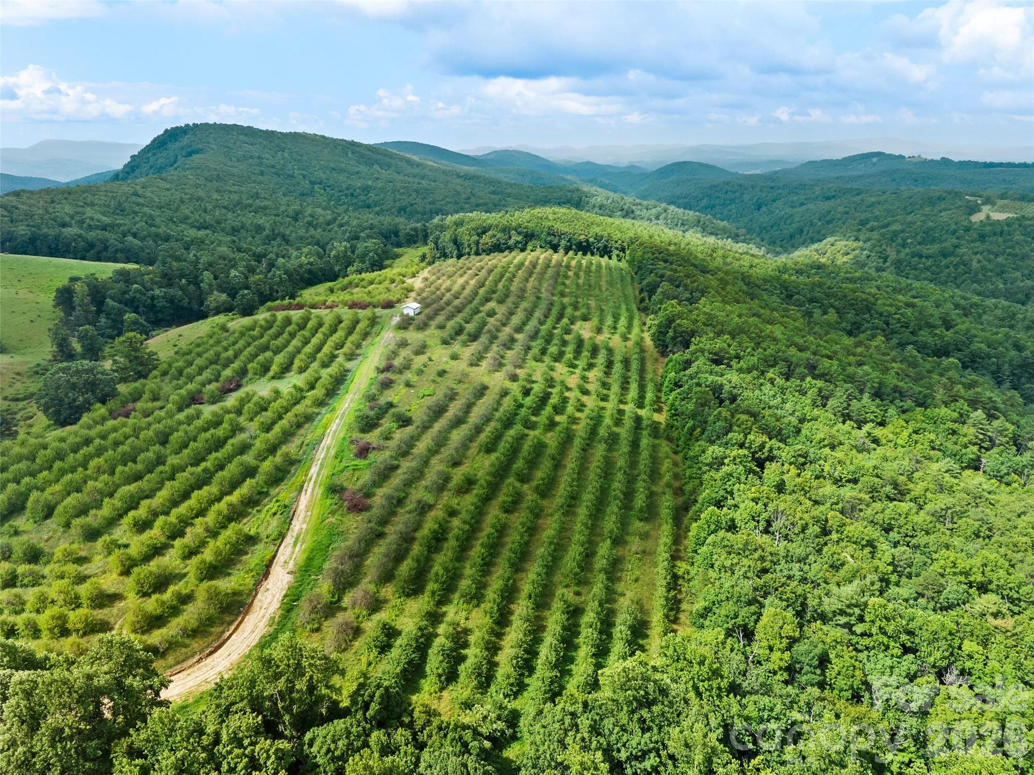 Acreage at 0 Summer Road, Hendersonville, photo 6 of 15