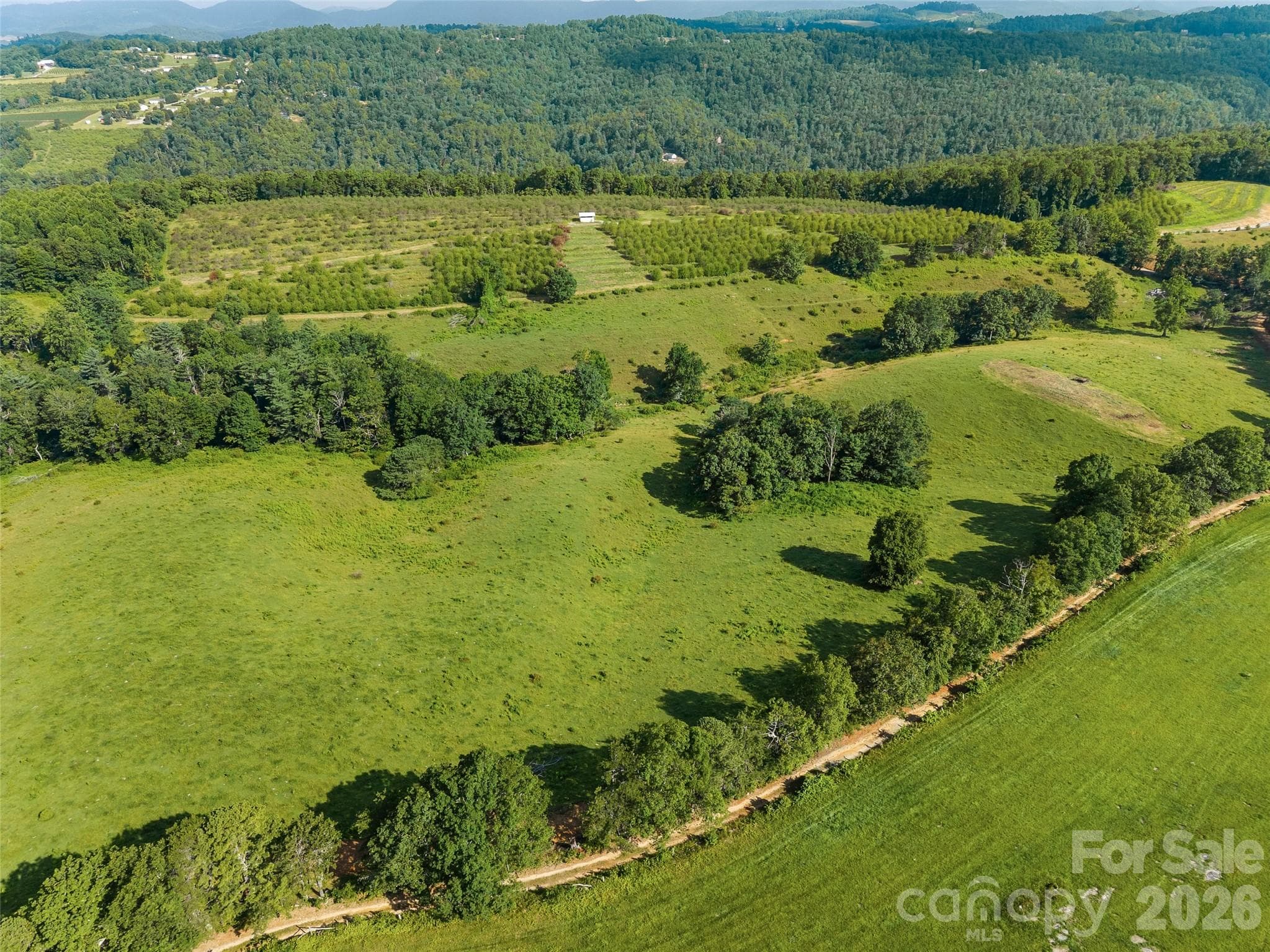 Acreage at 0 Summer Road, Hendersonville, photo 14 of 20