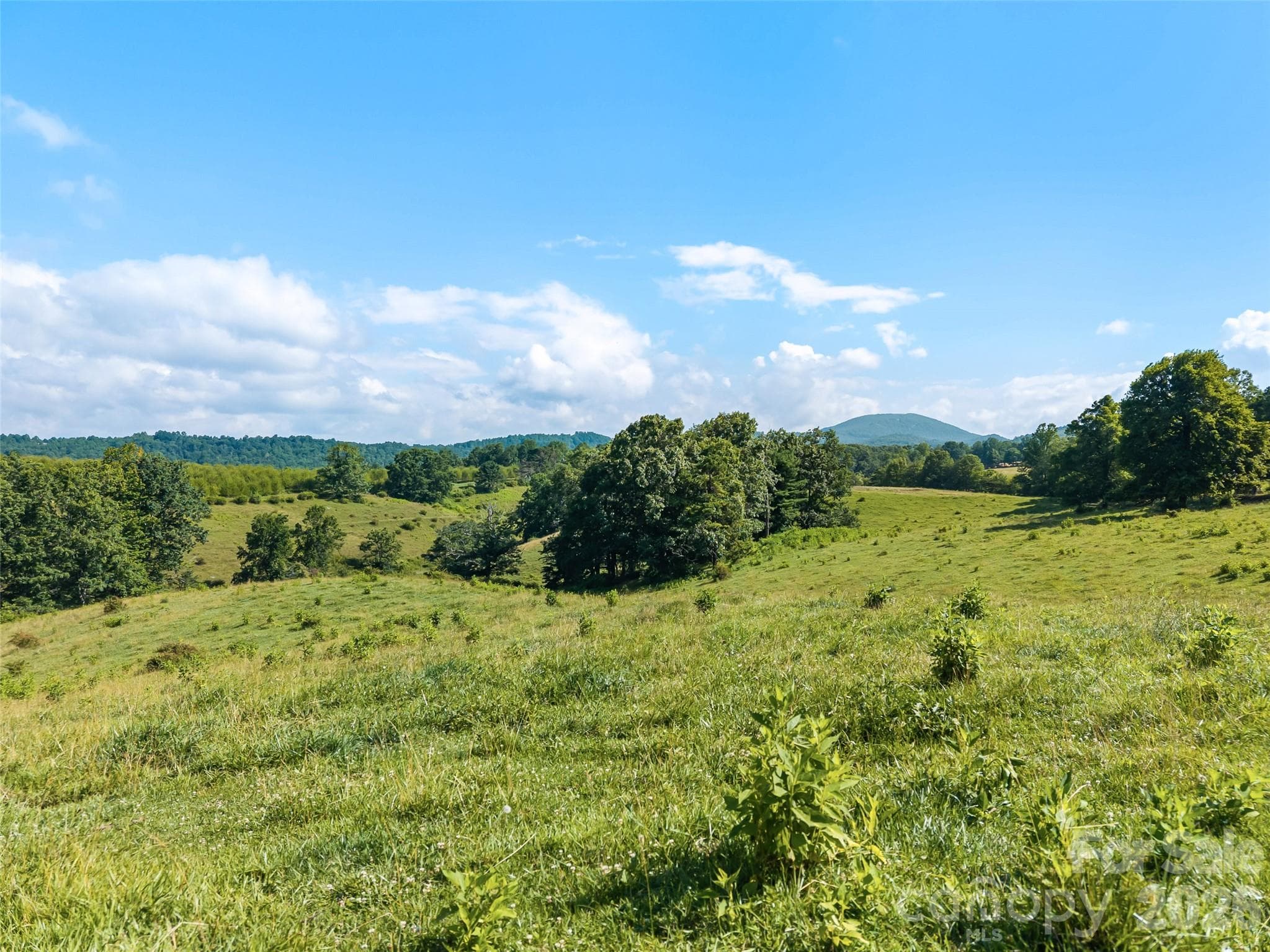 Acreage at 0 Summer Road, Hendersonville, photo 15 of 20
