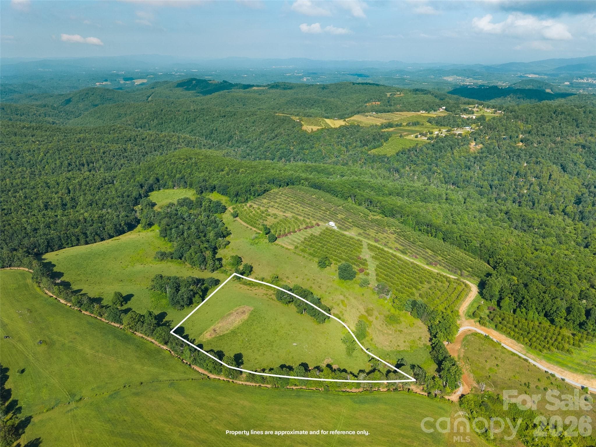 Acreage at 0 Summer Road, Hendersonville, photo 2 of 20