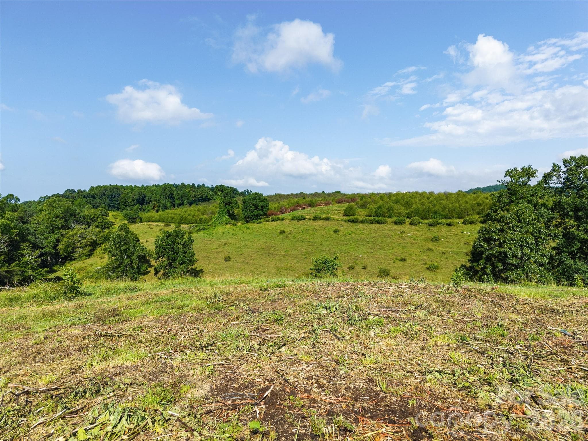 Acreage at 0 Summer Road, Hendersonville, photo 4 of 20
