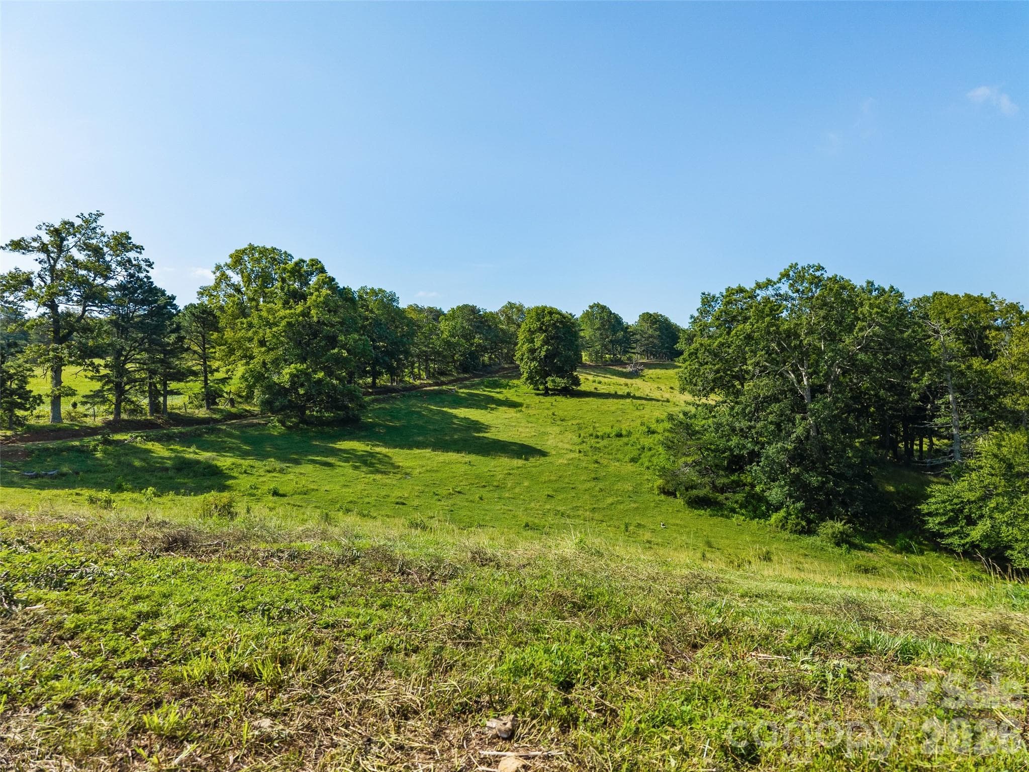 Acreage at 0 Summer Road, Hendersonville, photo 16 of 20