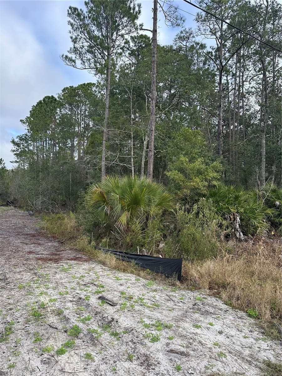 Land at 2301 10TH AVE, DELAND, photo 3 of 4