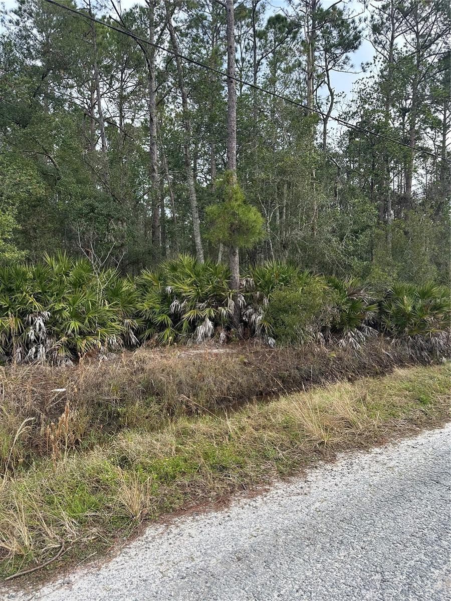 Land at 2301 10TH AVE, DELAND, photo 4 of 4