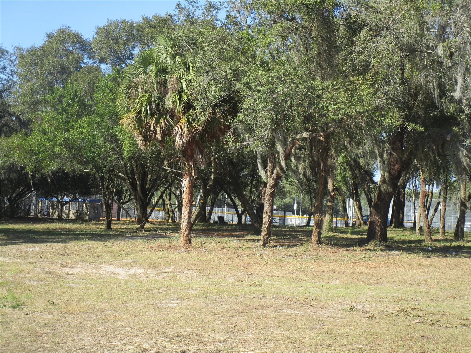 Front View - 6718 N ROME AVE, TAMPA