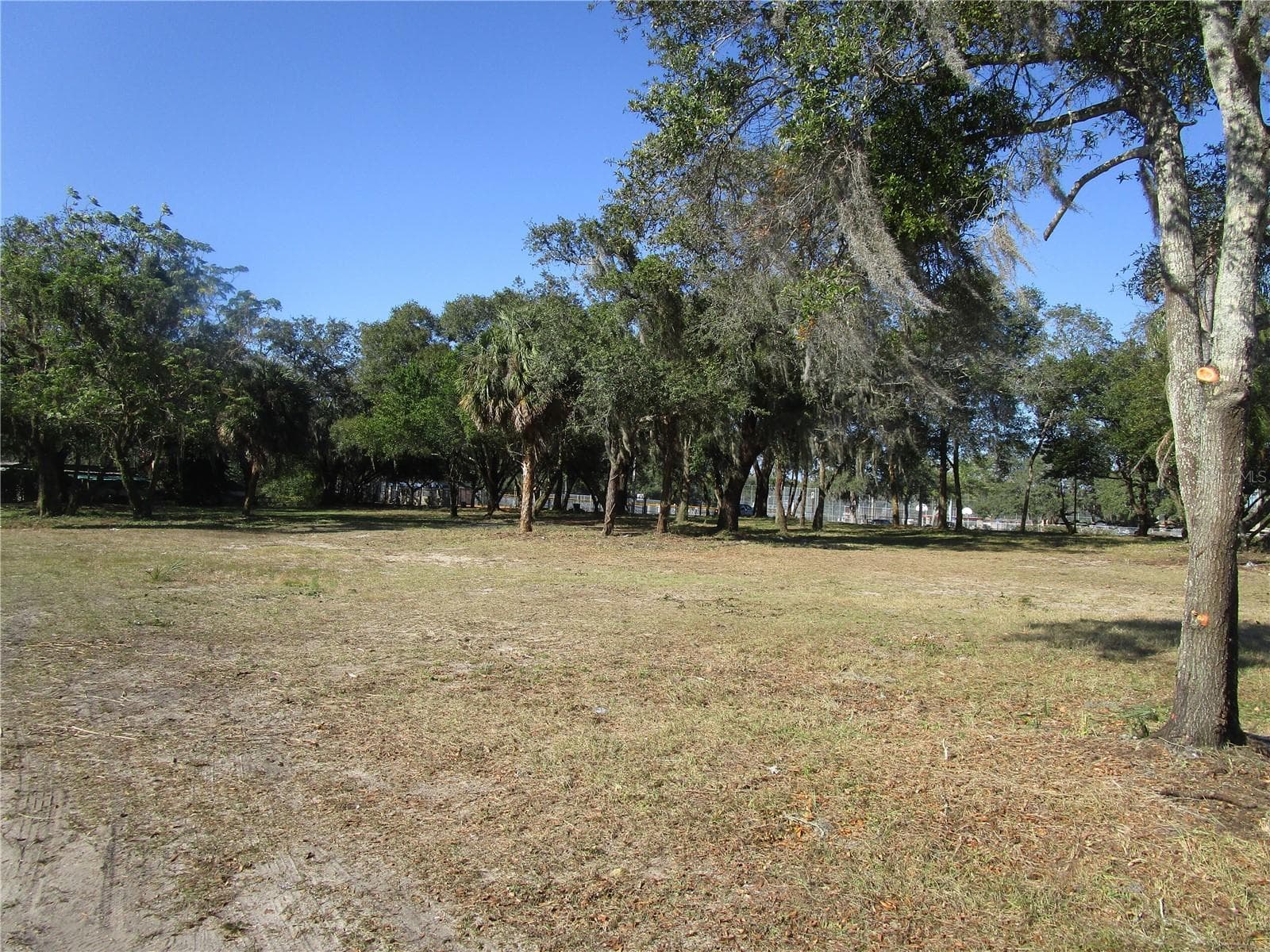 Front View - 6718 N ROME AVE, TAMPA