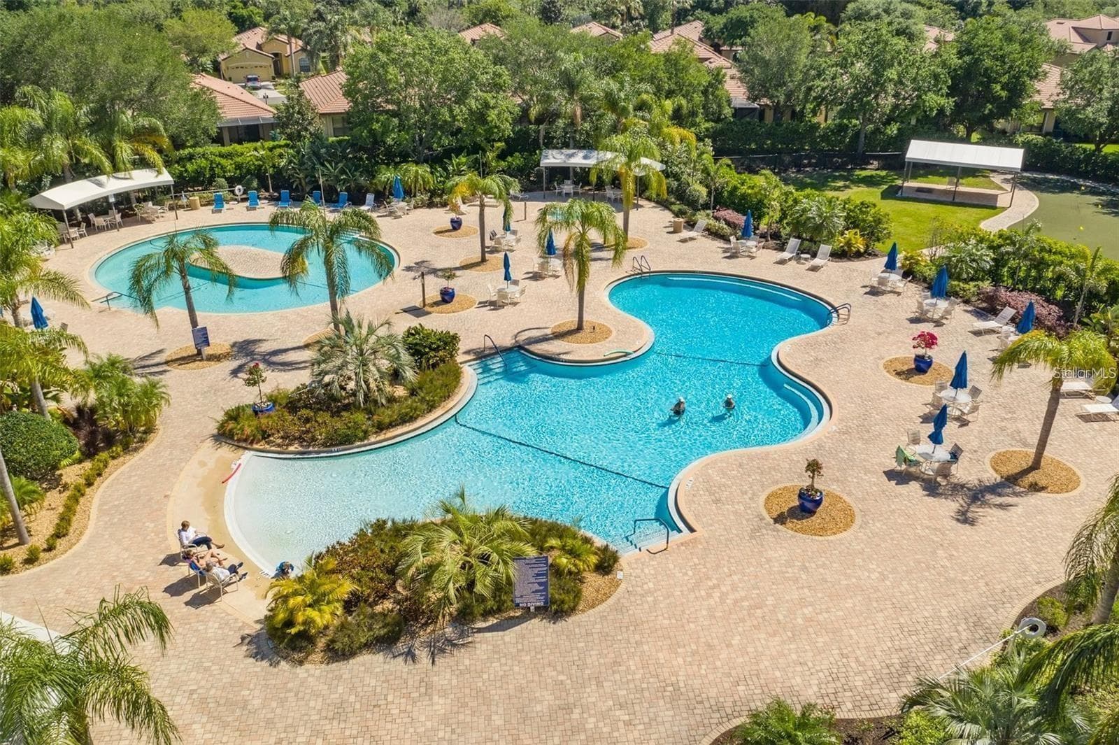 Community Pool area - 342 BLUEWATER FALLS CT, APOLLO BEACH