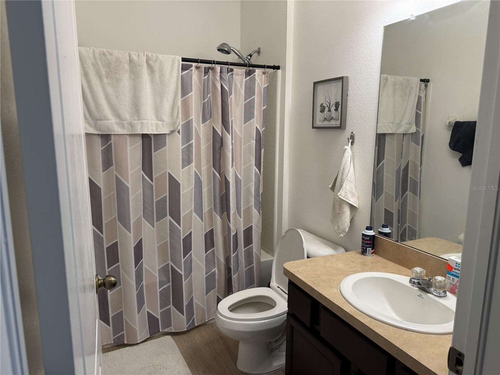 Single Family Residence at 1751 BONITA BLUFF CT, RUSKIN, photo 12 of 36