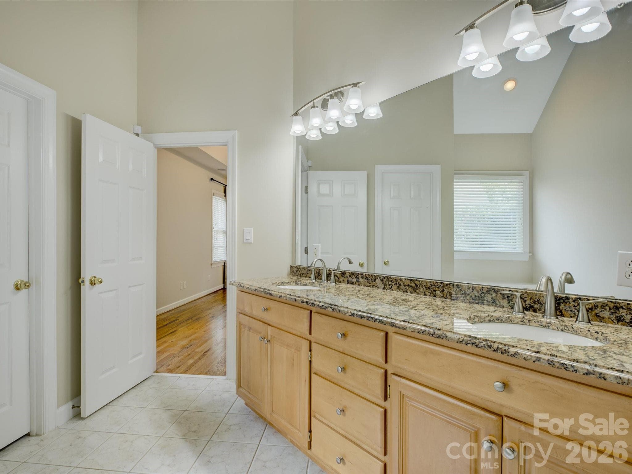 Primary bathroom - 10119 Victoria Mill Court, Charlotte