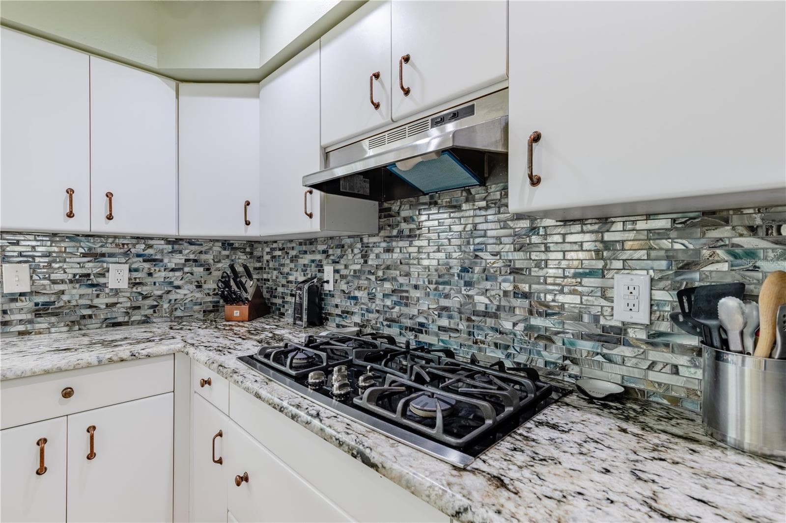 Single Family Residence at 32834 LAKESHORE DR, TAVARES, photo 58 of 86
