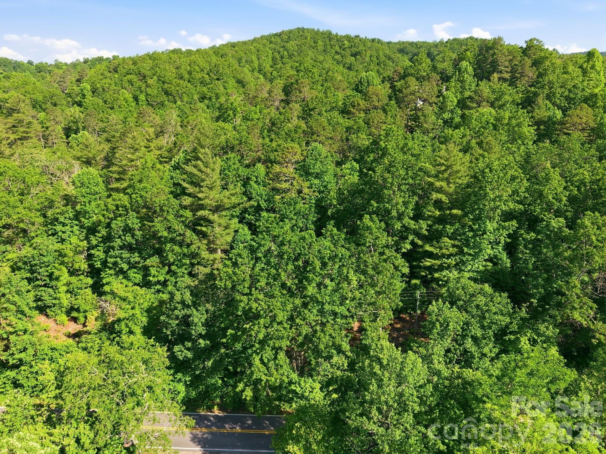 Lot at Black Mountain, photo 2 of 16