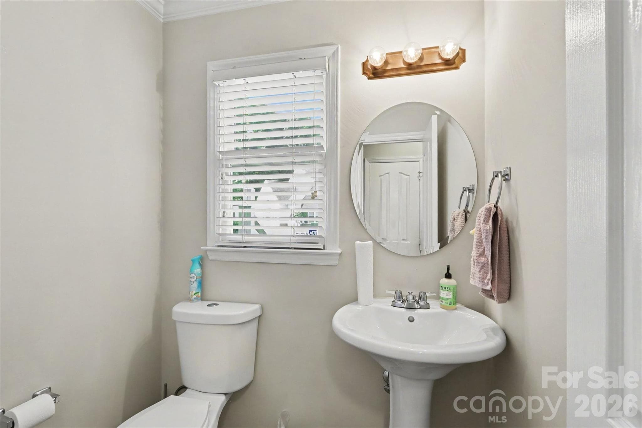 Townhouse at 8606 Fox Chase Lane, Charlotte, photo 17 of 27
