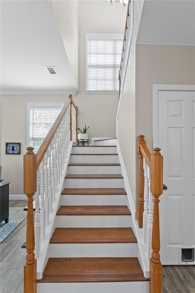 Single Family Residence at 3319 W VILLA ROSA ST, TAMPA, photo 22 of 39