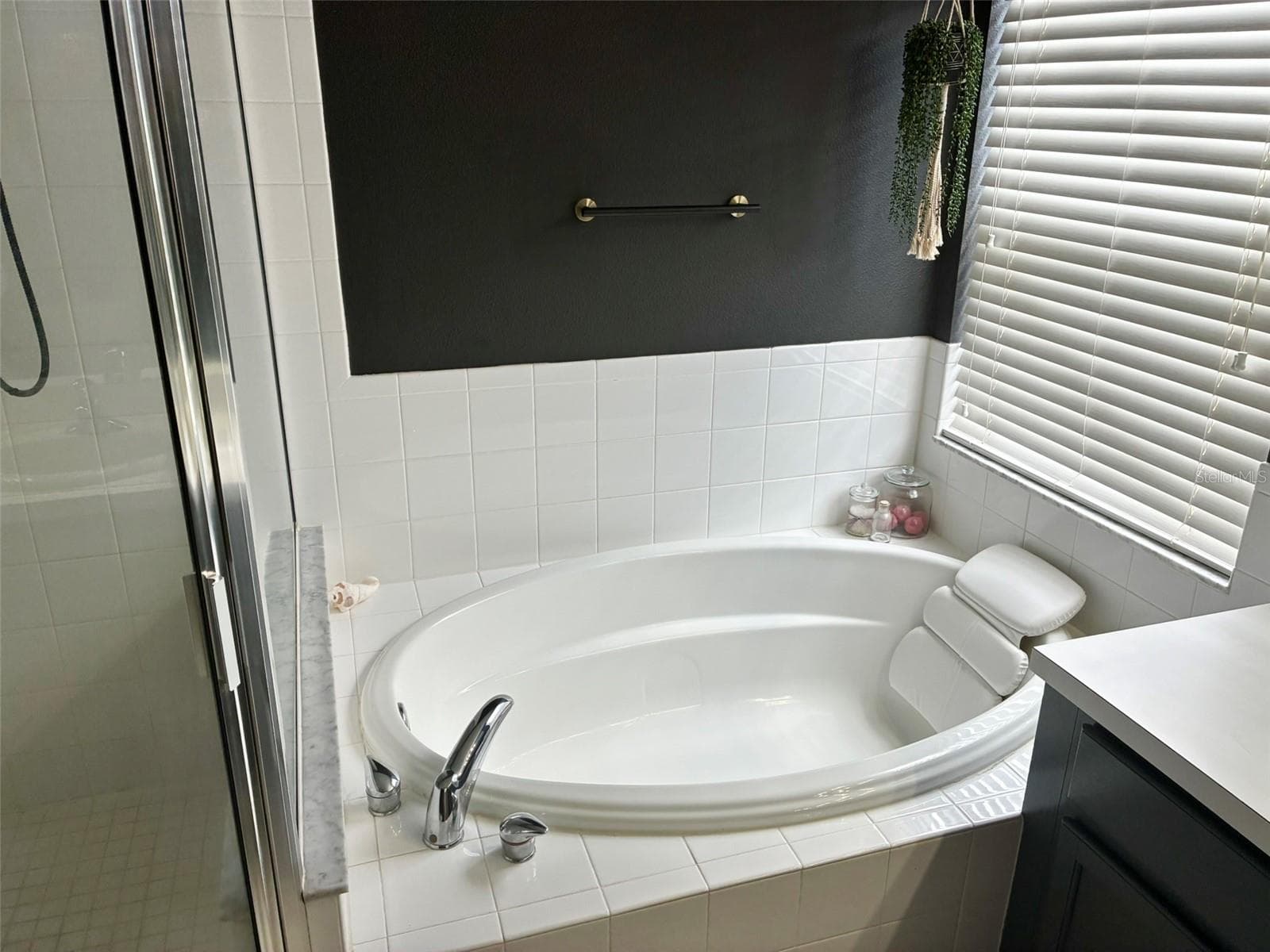 relax in the soak in tub after a long day of work - 8026 CARRIAGE POINTE DRIVE, GIBSONTON