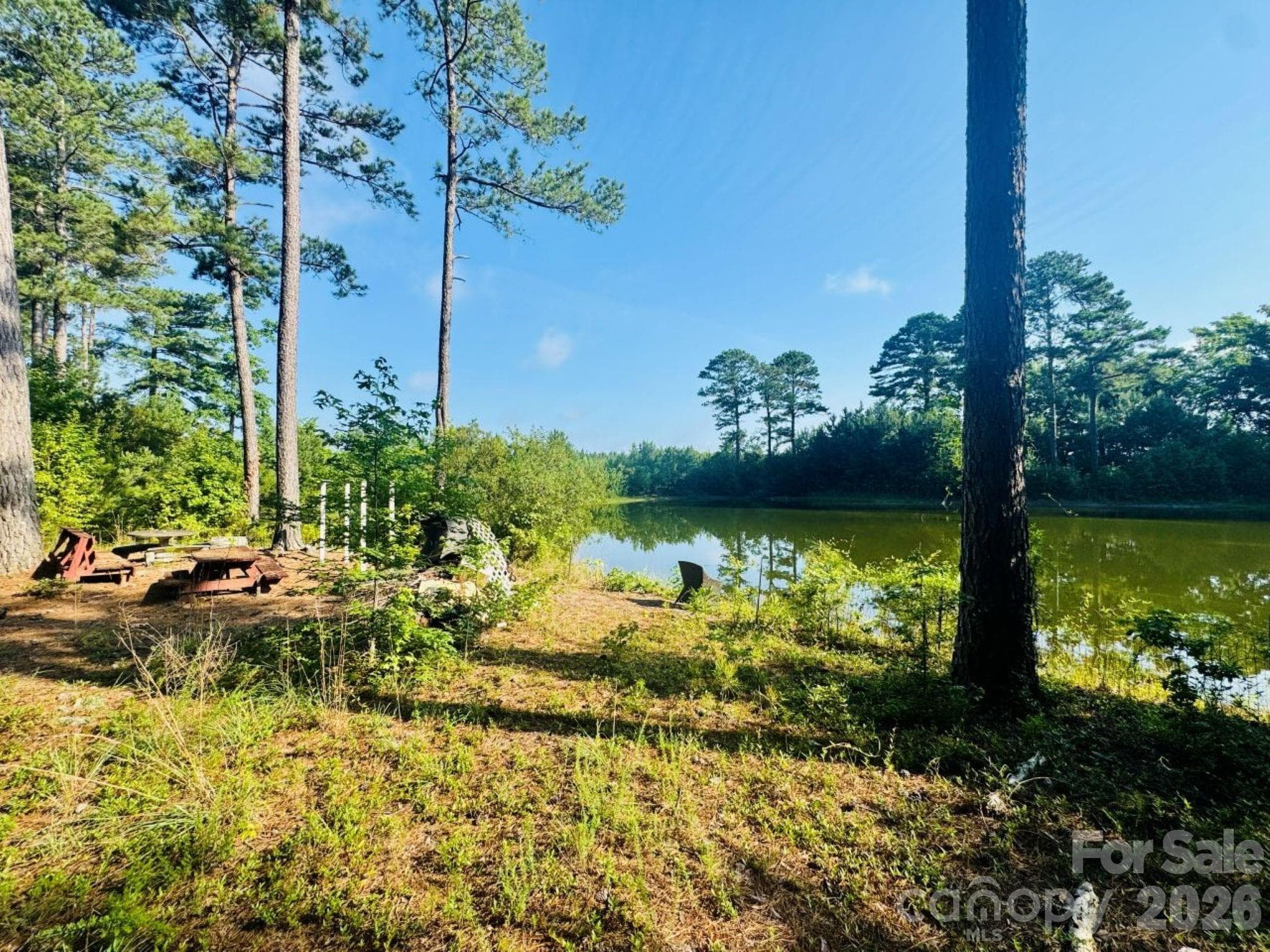 Acreage at 5326 Judson Road, Clio, photo 5 of 40