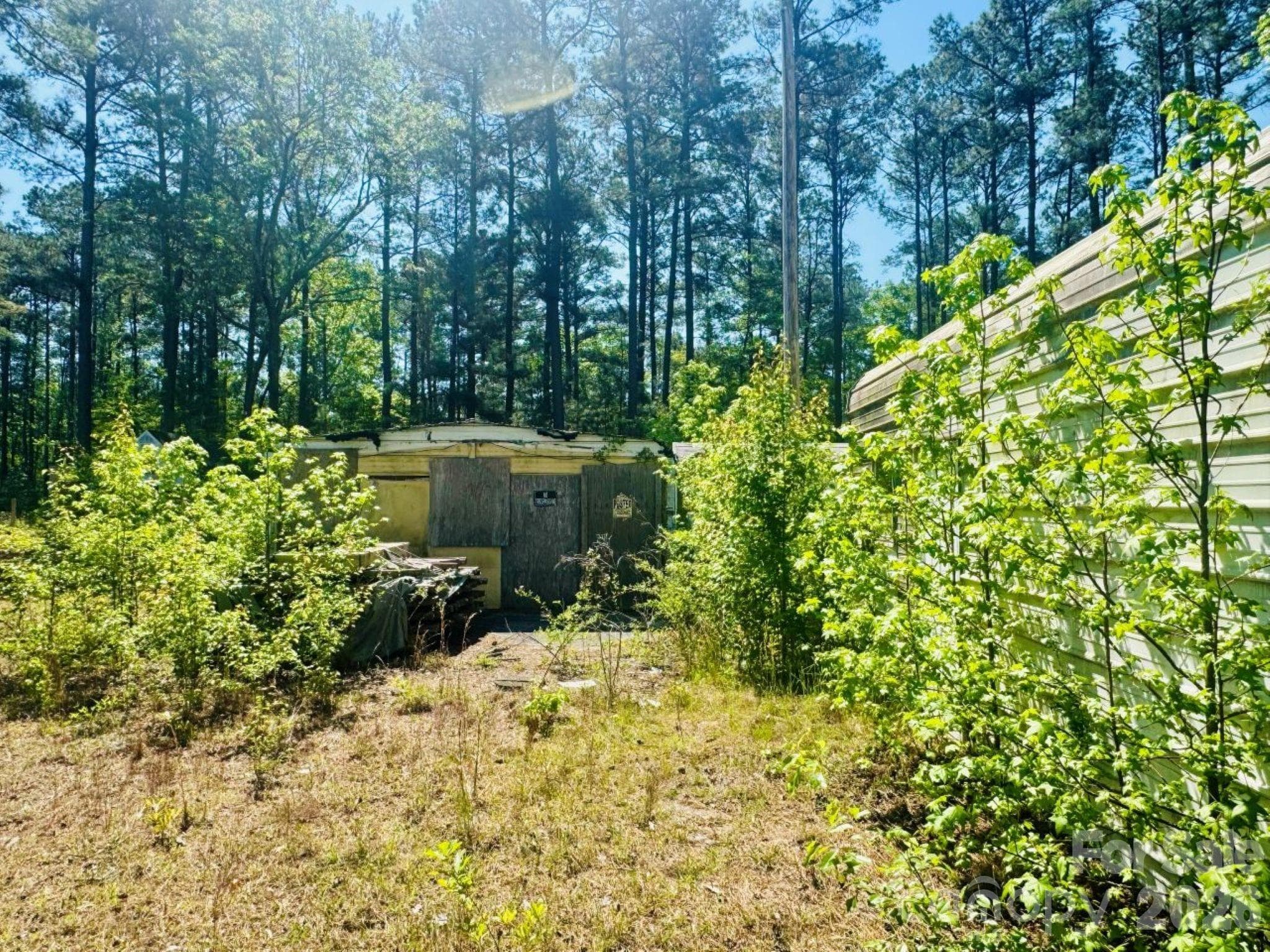 Acreage at 5326 Judson Road, Clio, photo 7 of 40