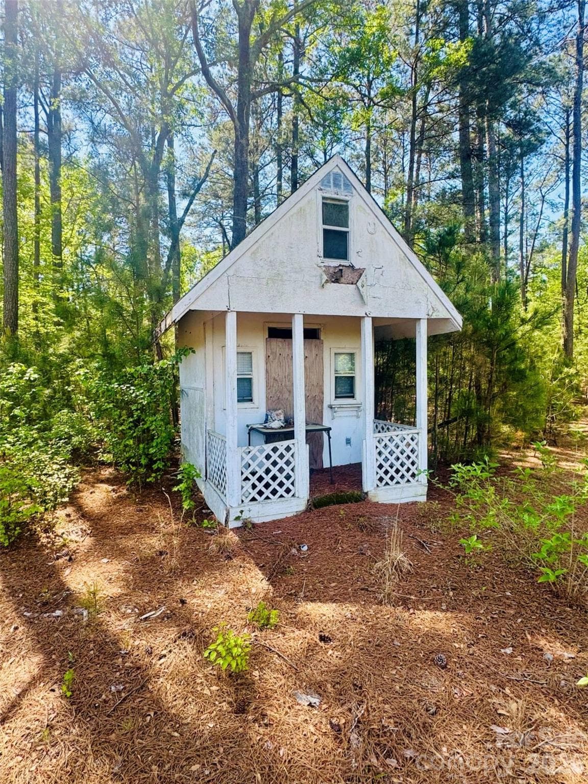Acreage at 5326 Judson Road, Clio, photo 10 of 40