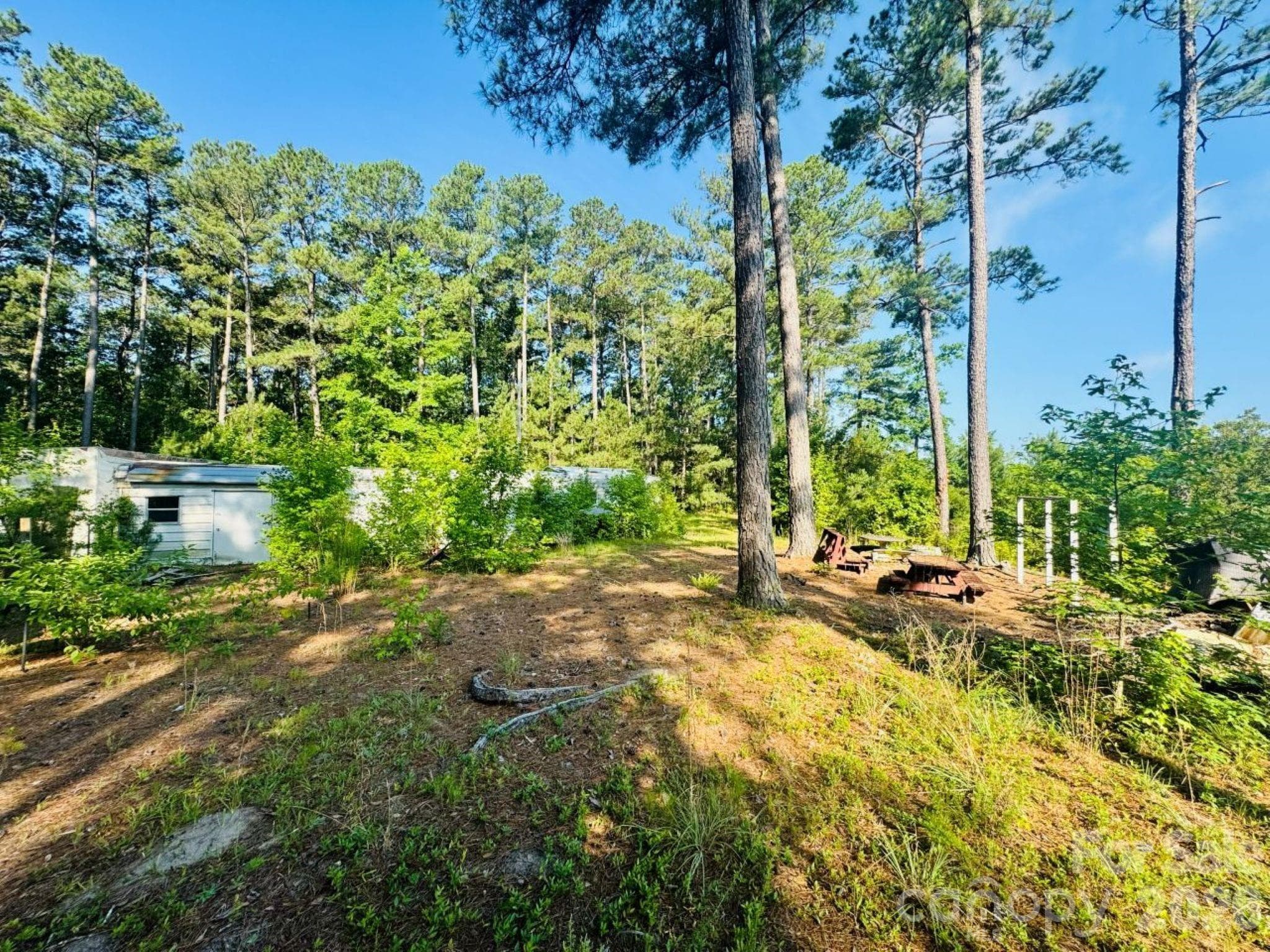 Acreage at 5326 Judson Road, Clio, photo 17 of 40