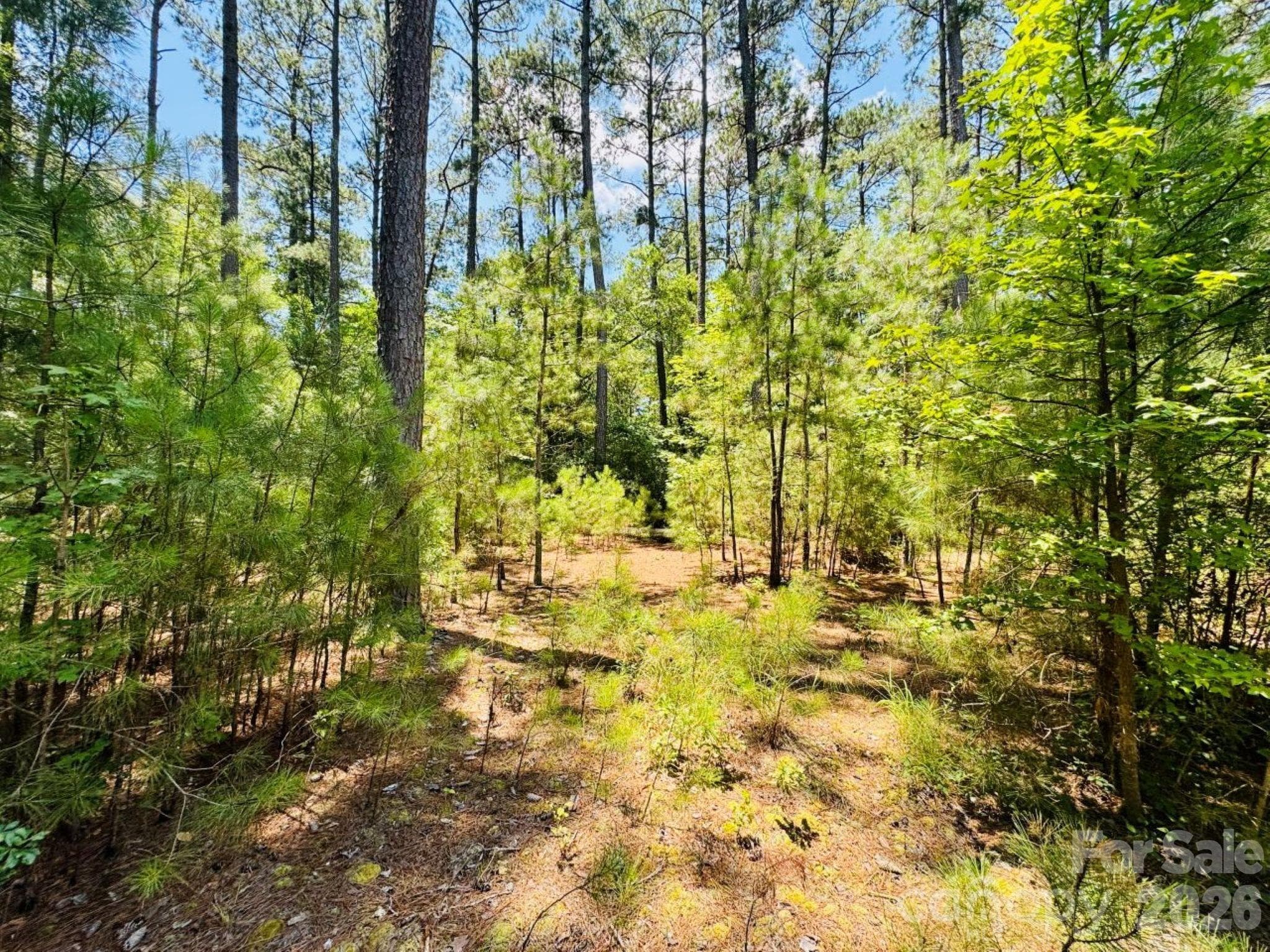 Acreage at 5326 Judson Road, Clio, photo 19 of 40